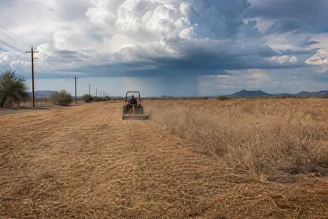 Small ag tractor pulling a heavy rotary mower through waist-high dried desert brush, the finished strip showing flat behind it