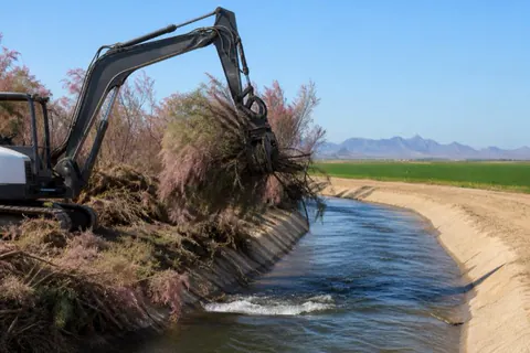Excavator ripping a feathery tamarisk stand off an irrigation ditch bank, the cleaned concrete channel and a green field showing beyond