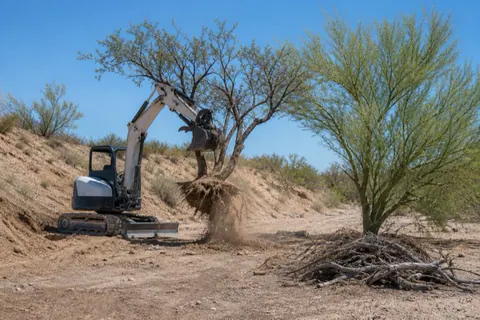Small excavator lifting a multi-trunk mesquite out by the roots at a wash edge with a standing palo verde left beside the cut